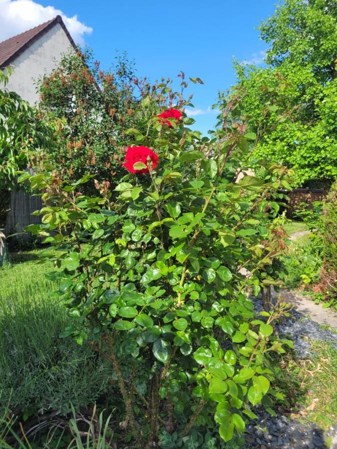 Cosy Room + Breakfast 20 Mn From Epernay Blancs-Coteaux Buitenkant foto